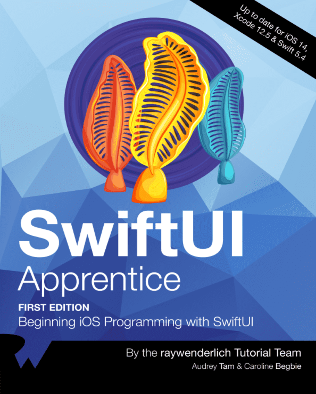 Preview image for SwiftUI Apprentice (First Edition): Beginning iOS Programming with SwiftUI